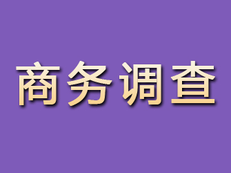 琼山商务调查